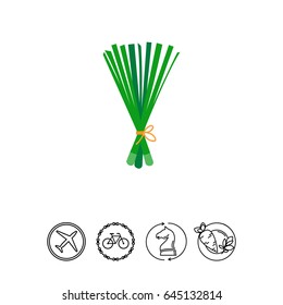 Spring onion icon