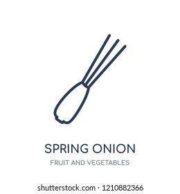 Spring onion icon. Spring onion linear symbol design from Fruit and vegetables collection. Simple outline element vector illustration on white background.