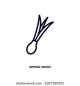 spring onion icon. Thin line spring onion icon from vegetables and fruits collection. Outline vector isolated on white background. Editable spring onion symbol can be used web and mobile