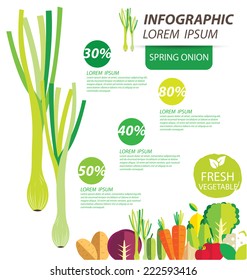 spring onion , infographics. vegetables vector illustration