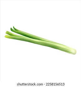 Spring Onion Isolated Detailed Hand Drawn Painting Illustration
