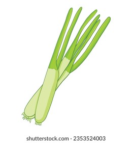 spring onion isolated illustration on white background. vector