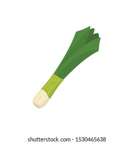Spring onion leek vegetable vector in cartoon style.
