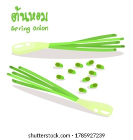 Spring onion in Thai Language it mean "Spring onion"