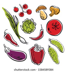 Spring onion, tomato, mushroom, peppers, artichoke, eggplant, cucumbers. Colorful sketch of vegetables isolated on white background. Doodle hand drawn vegetables. Vector illustration