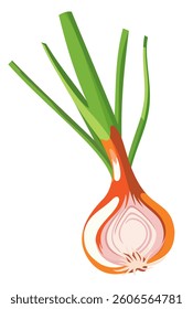 Spring onion. Vector isolated illustration.