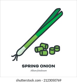 Spring onion vegetable icon, outline with color fill style vector illustration