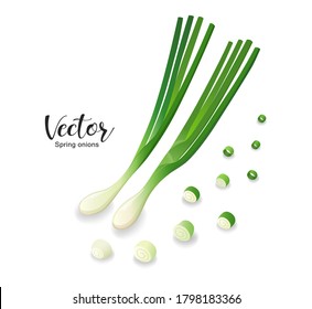 Spring onions fresh and spring onions shredded, design isolated on white background, Eps 10 vector illustration