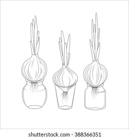 Spring onions in glass jars sketch, healthy food, spring concept. Vector illustration in eps8 format.