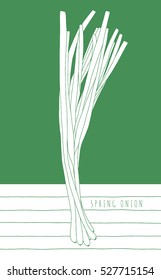 Spring onions hand drawn vector illustration. Scallion kitchen design