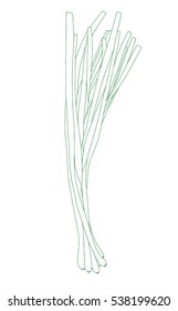 Spring onions line art on the white background