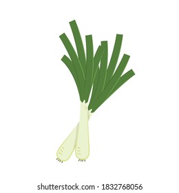Spring onions vector. Spring onions on white background.