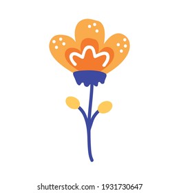spring orange flower and leafs