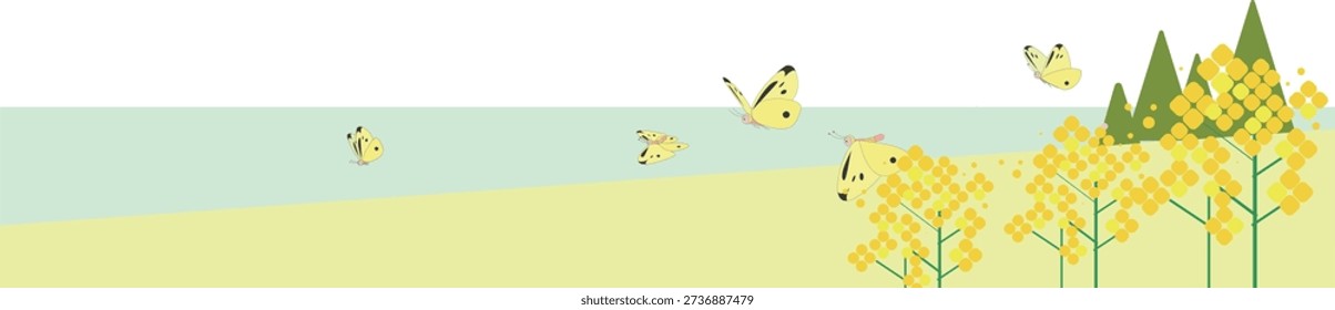 Spring panorama background illustration of butterflies flying over a field of canola flowers