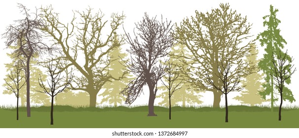Spring park (bare trees) silhouette. Vector illustration.