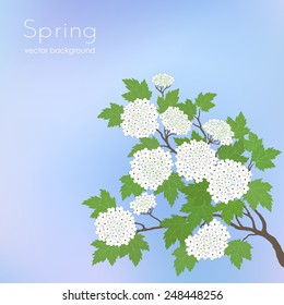 Spring pattern with booming branches on a blurred  blue background. Spring card with place for text. Stylish fashion background