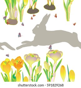 spring pattern   crocuses and gray rabbits, vector 