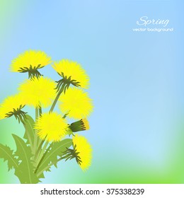 Spring pattern with dandelion on  a blue background. Spring holiday card with place for text. Stylish fashion background