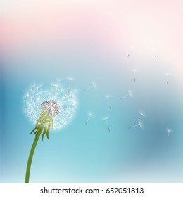 Spring pattern with dandelion on a blue background. Spring holiday card with place for text. Stylish fashion background