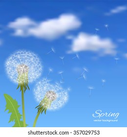 Spring pattern with dandelions against the sky. Spring holiday card with place for text. Stylish fashion background