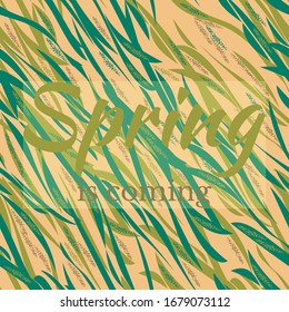 Spring pattern in form of frame of foliage, grass and shadow. Light natural greens. Spring is coming. Place for text. Vector drawing for spring backgrounds and packaging, for design of Happy Easter.