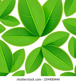 Spring pattern, fresh green leaves on white, vector illustration