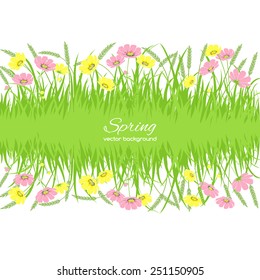 Spring pattern with grass and flowers on a white background. Spring holiday card with place for text. Stylish fashion background