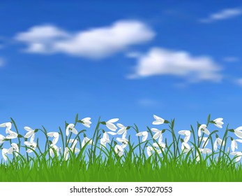 Spring pattern with grass snowdrops against the sky. Spring holiday card with place for text. Stylish fashion background