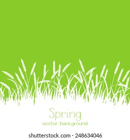 Spring pattern with grass and spikelets on  a green background. Spring holiday card with place for text. Stylish fashion background