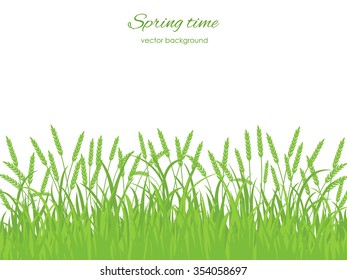 Spring pattern with grass and spikelets on  a white background. Spring holiday card with place for text. Stylish fashion background