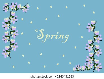 spring picture with blossoming apple tree branches