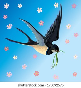 Spring picture with flowers of cherry and a swallow, bearing a snowdrop.