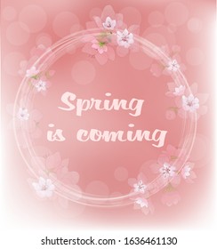 Spring picture in soft pink tones with cherry blossoms. Cherry blossom, text frame. Stock vector.