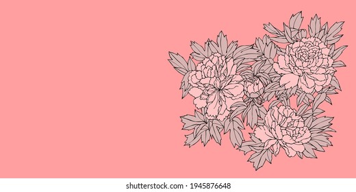 Spring pink background with blooming peonies in Japanese style.  Eps 10 Vector.