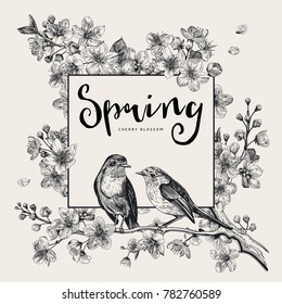 Spring. Pink cherry blossom branch witch birds. Vector botanical illustration. Black and white