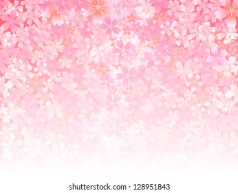 Spring Pink Cherry Blossoms Background