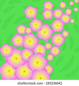 Spring in pink flowers.