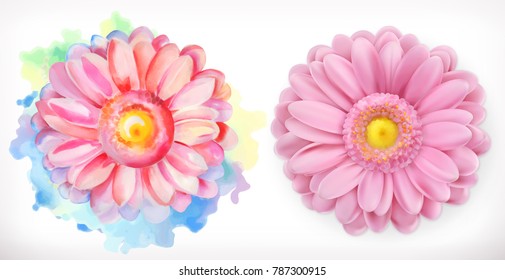 Spring pink flowers, Daisy, watercolor and 3d realism