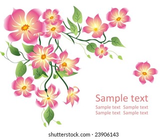 spring pink flowers. Floral background