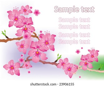 spring pink flowers. Floral background