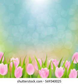 Spring Pink Flowers Tulip With Gradient Mesh, Vector Illustration