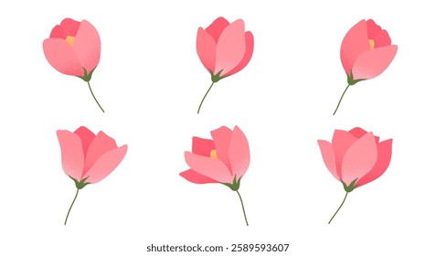 Spring pink roses set.Elegant isolated elements for flower emblem design.Botany logo templates.Floral illustrations for mother's day,women's day,easter prints,flyers,banners,greetings,branding,covers