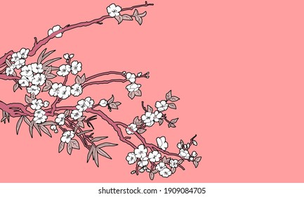 Spring pink vector background with blossoming sakura branch in Japanese style. 