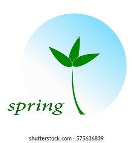 spring plant