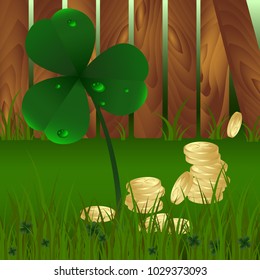 Spring plant fhree-leafed clover with dew and golden coins on with green grass wooden garden fence background. St. Patrick's day, Money, gold, Saint, Patrick, holiday, nature, luck, flower, leaf