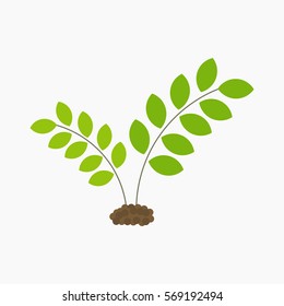 Spring plant growing from soil. Vector illustration