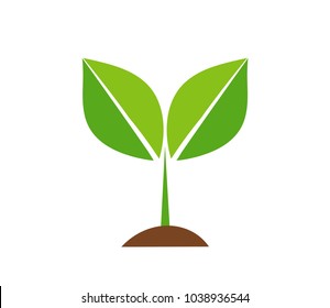 Spring plant icon. Vector illustration