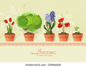 Spring plants and flowers in clay pot on beige background