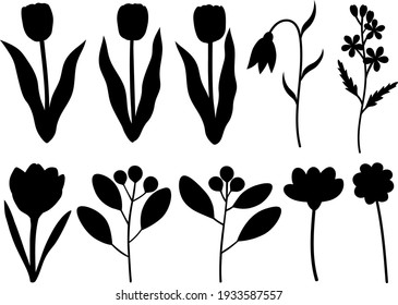 Spring plants flowers leaves silhouettes vector illustration