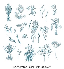 Conjunto gráfico de plantas de primavera. Tema primaveral, plantas primaverales. Elementos hechos a mano para el diseño de tarjetas, invitaciones y otros productos impresos.